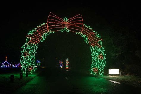 Be Spellbound by the Radiant Magic of Lights CT